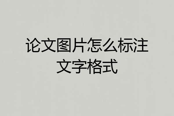 论文图片怎么标注文字格式