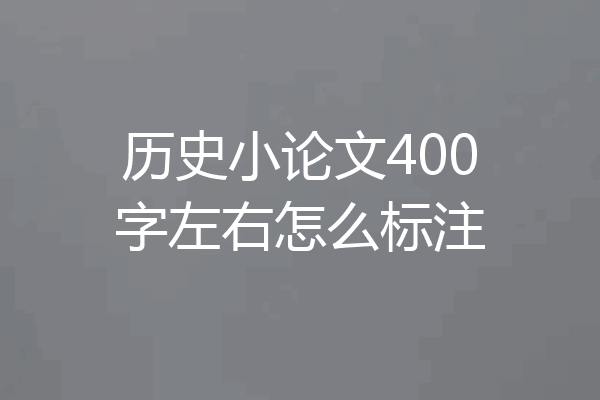 历史小论文400字左右怎么标注