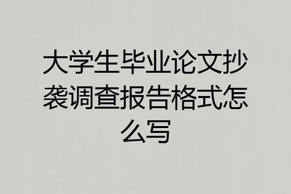 大学生毕业论文抄袭调查报告格式怎么写