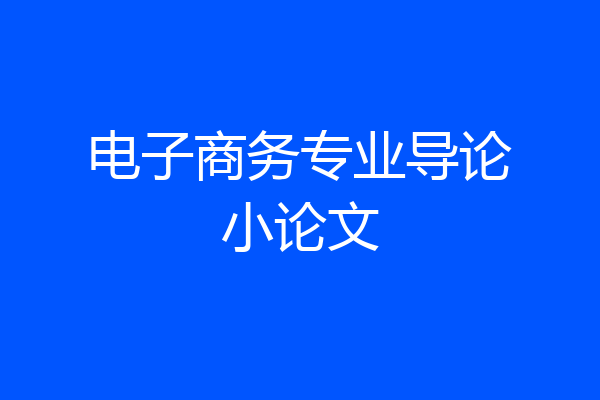 电子商务专业导论小论文