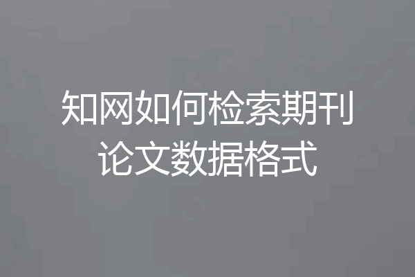 知网如何检索期刊论文数据格式