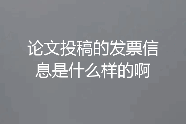 论文投稿的发票信息是什么样的啊