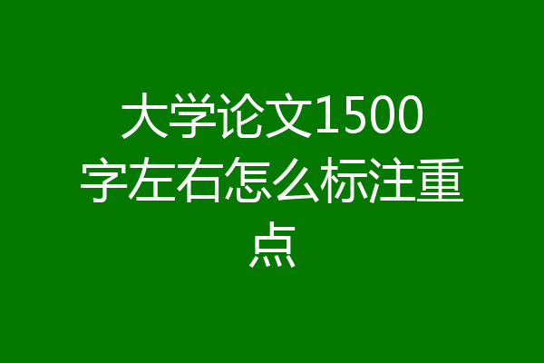 大学论文1500字左右怎么标注重点