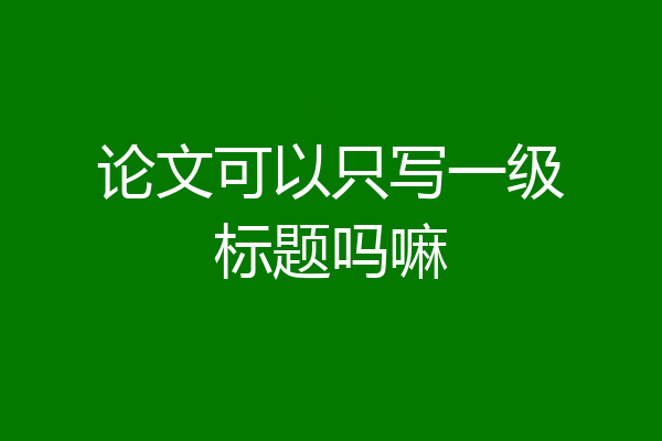 论文可以只写一级标题吗嘛