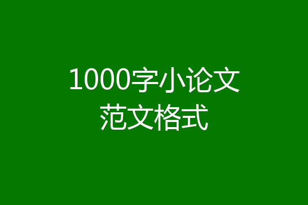 1000字小论文范文格式