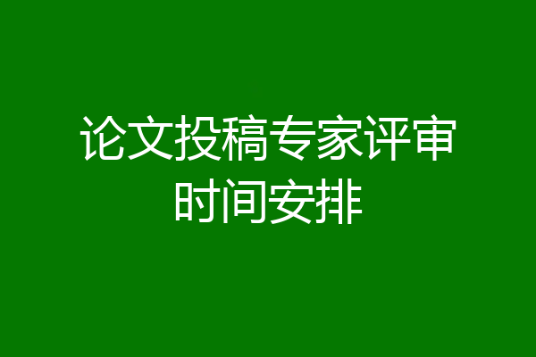 论文投稿专家评审时间安排