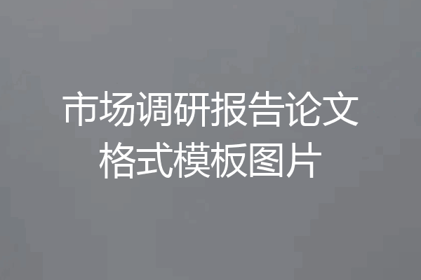 市场调研报告论文格式模板图片