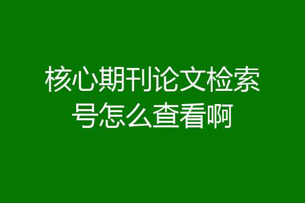 核心期刊论文检索号怎么查看啊
