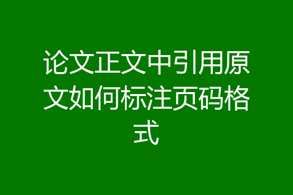 论文正文中引用原文如何标注页码格式