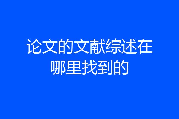 论文的文献综述在哪里找到的