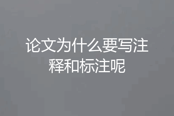 论文为什么要写注释和标注呢