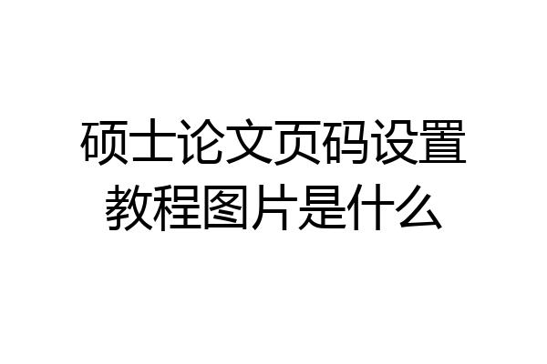 硕士论文页码设置教程图片是什么