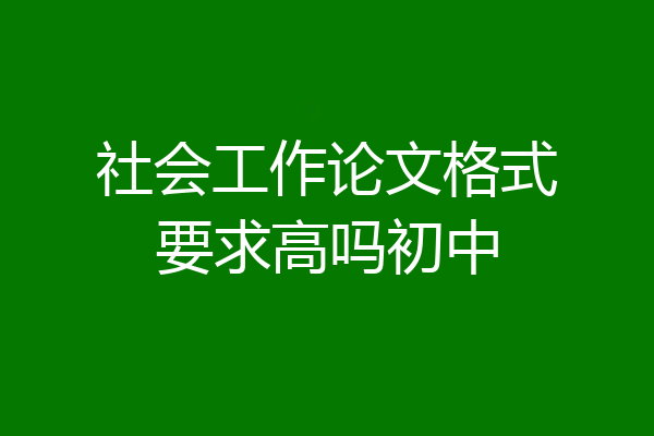 社会工作论文格式要求高吗初中