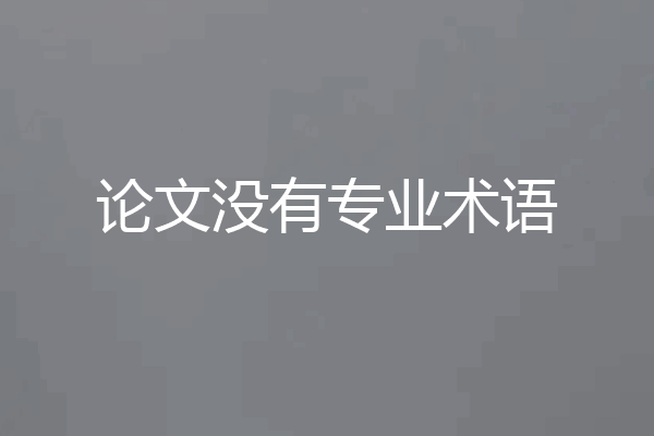 论文没有专业术语