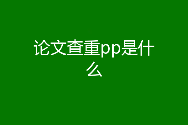 论文查重pp是什么