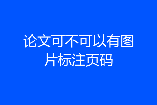 论文可不可以有图片标注页码