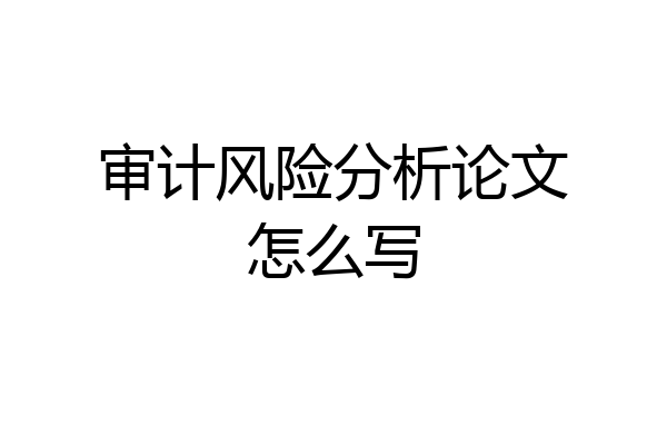 审计风险分析论文怎么写