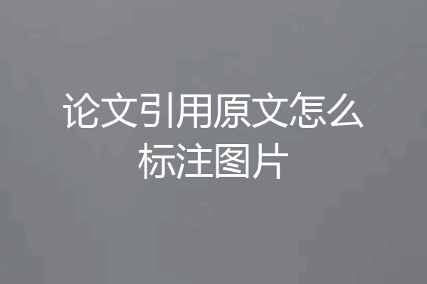 论文引用原文怎么标注图片