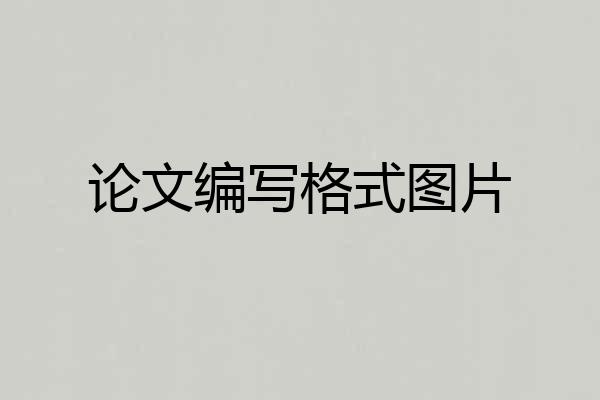 论文编写格式图片
