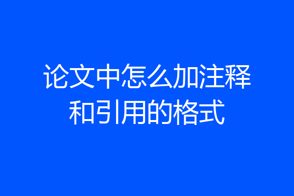 论文中怎么加注释和引用的格式