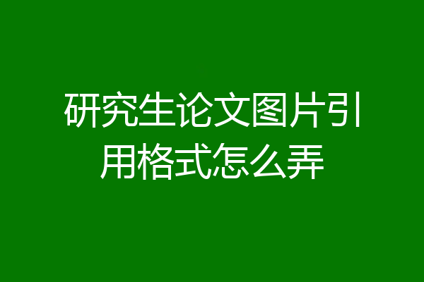 研究生论文图片引用格式怎么弄