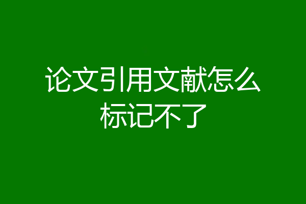 论文引用文献怎么标记不了