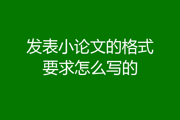 发表小论文的格式要求怎么写的