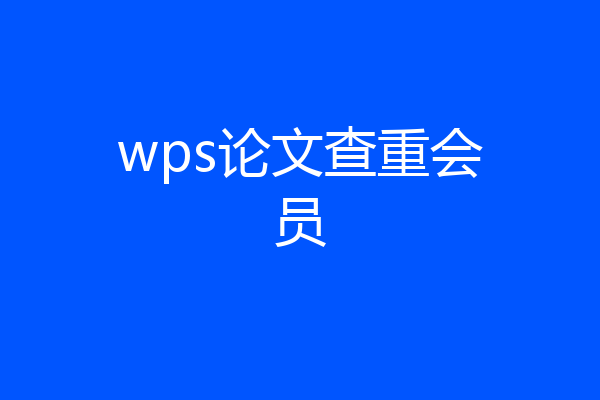 wps论文查重会员