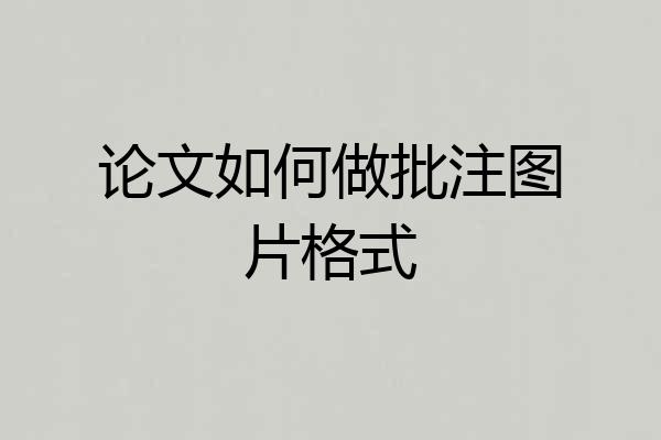 论文如何做批注图片格式