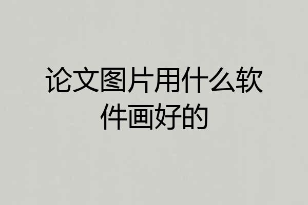论文图片用什么软件画好的
