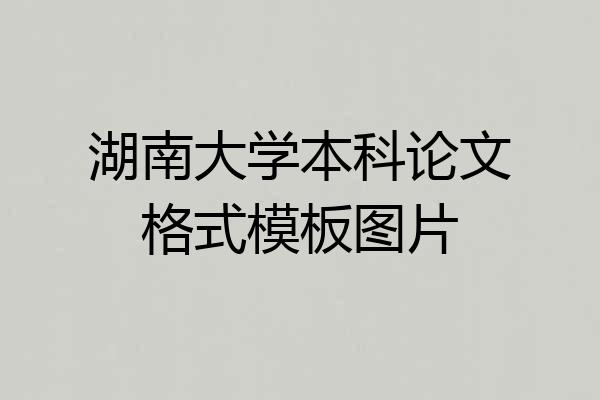 湖南大学本科论文格式模板图片