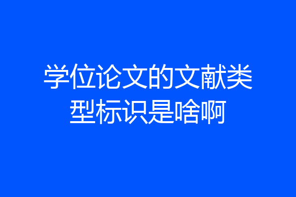 学位论文的文献类型标识是啥啊
