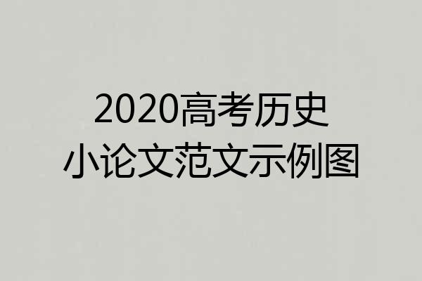 2020高考历史小论文范文示例图