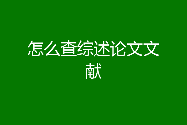 怎么查综述论文文献