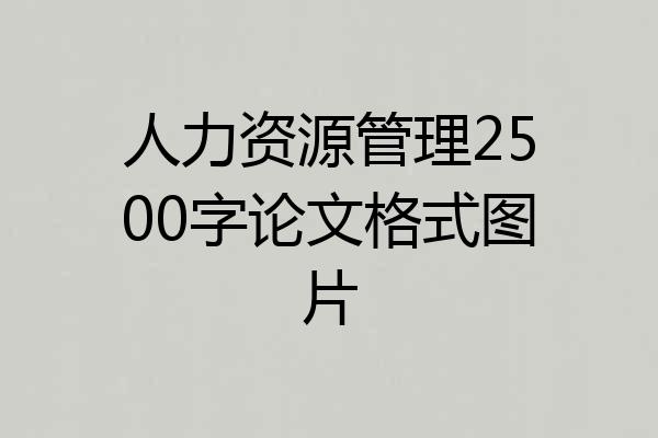 人力资源管理2500字论文格式图片