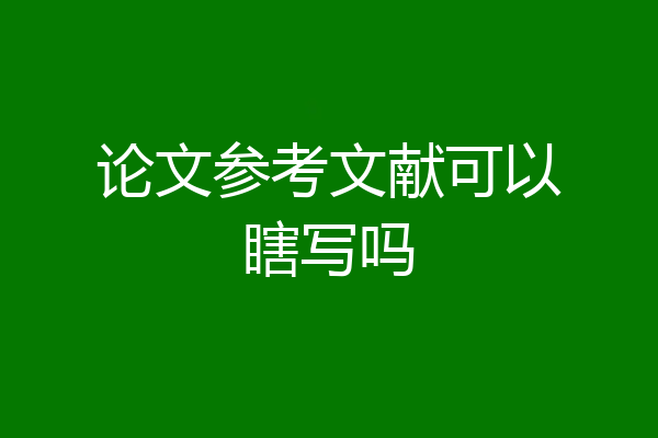 论文参考文献可以瞎写吗