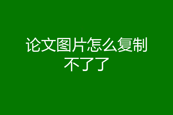 论文图片怎么复制不了了