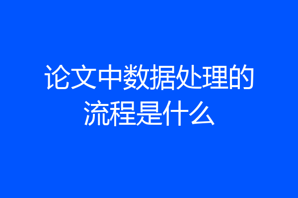 论文中数据处理的流程是什么