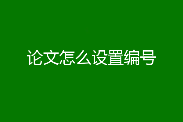 论文怎么设置编号