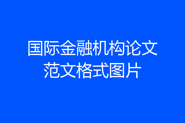 国际金融机构论文范文格式图片