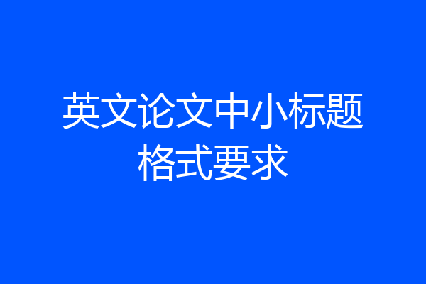 英文论文中小标题格式要求