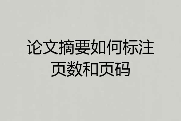 论文摘要如何标注页数和页码