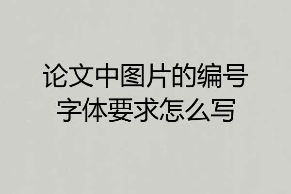 论文中图片的编号字体要求怎么写