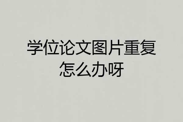 学位论文图片重复怎么办呀