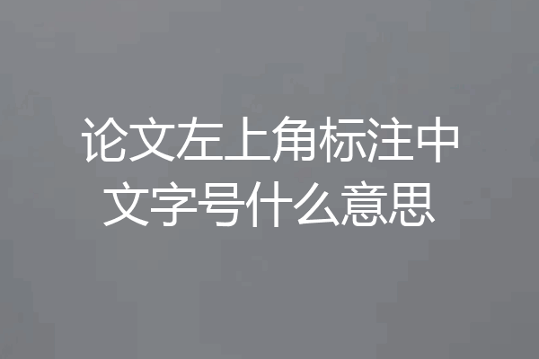 论文左上角标注中文字号什么意思