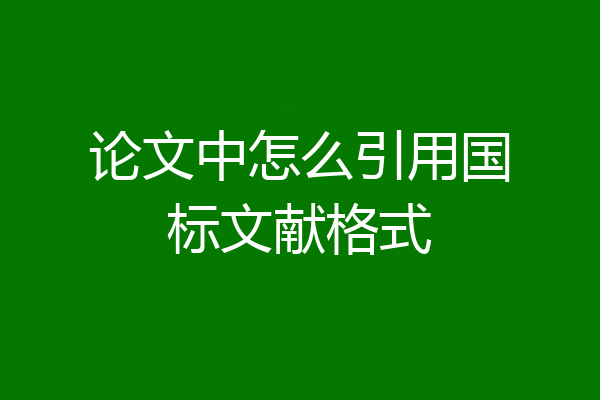 论文中怎么引用国标文献格式
