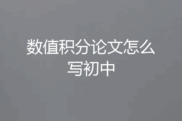 数值积分论文怎么写初中