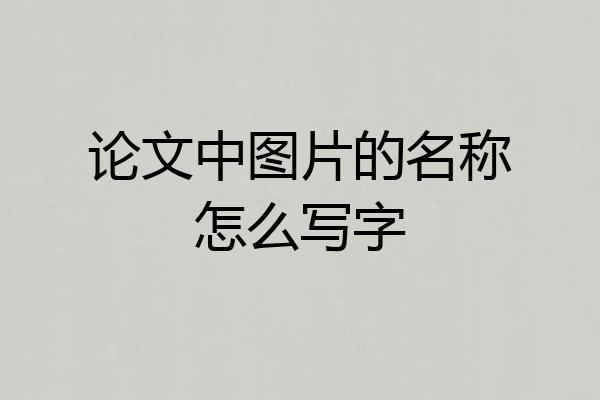 论文中图片的名称怎么写字