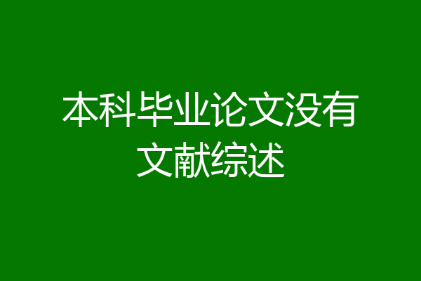 本科毕业论文没有文献综述