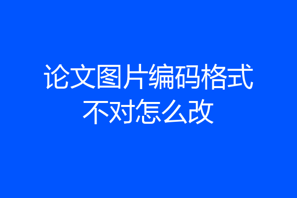 论文图片编码格式不对怎么改